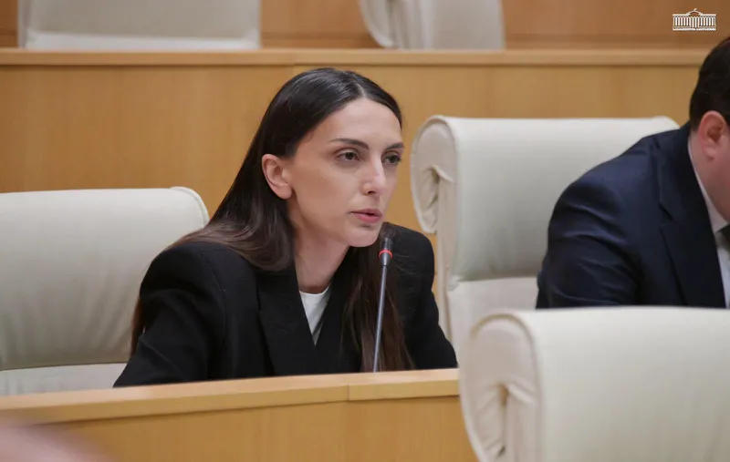 ვიკა ფილფანი უმრავლესობას - თქვენ პოლიტიკოსები არ ხართ - თქვენ ვერც ამ ქვეყნის ეროვნულობას იცავთ, ვერც ამ ქვეყნის ღირსებას, ვერც ქრისტიანობას, რადგან ის, რაც ახლა ამ დარბაზში მოხდა, ქრისტიანობასთან საერთო არაფერი აქვს