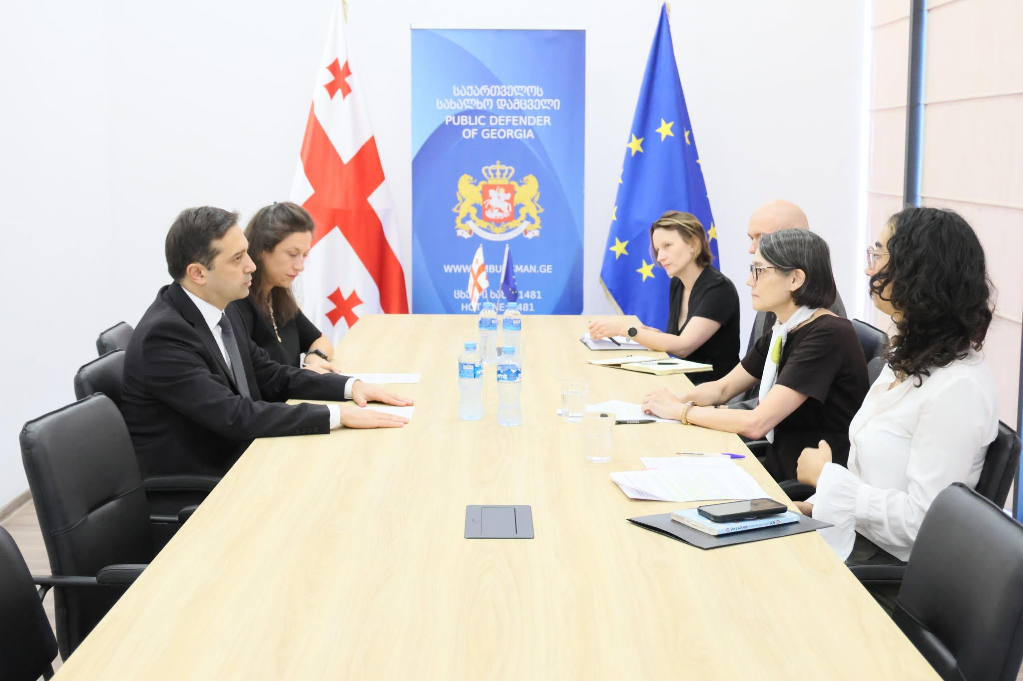 სახალხო დამცველი საქართველოში ევროკავშირის სადამკვირვებლო მისიის ხელმძღვანელს შეხვდა