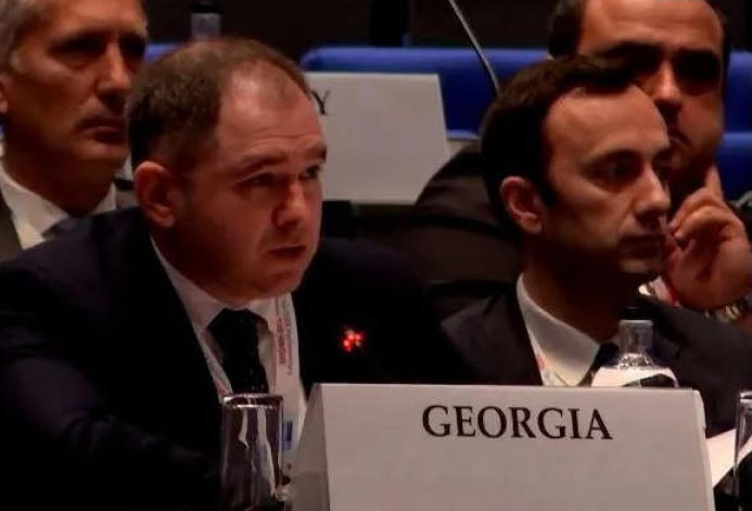 ლევან მახაშვილი - ბატონი ჯო უილსონის მიერ წარდგენილი მიკერძოებული რეზოლუციის პროექტი ეუთო-ს მიმართ ნდობას უფრო აზიანებს, ვიდრე მისი პრინციპების დაცვას ემსახურება