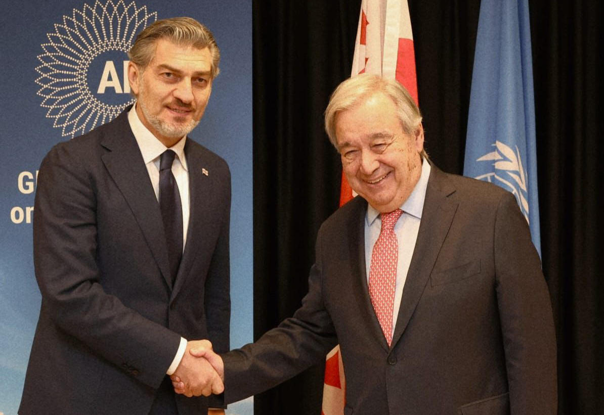 მიხეილ ყაველაშვილი ანტონიო გუტერეშს შეხვდა