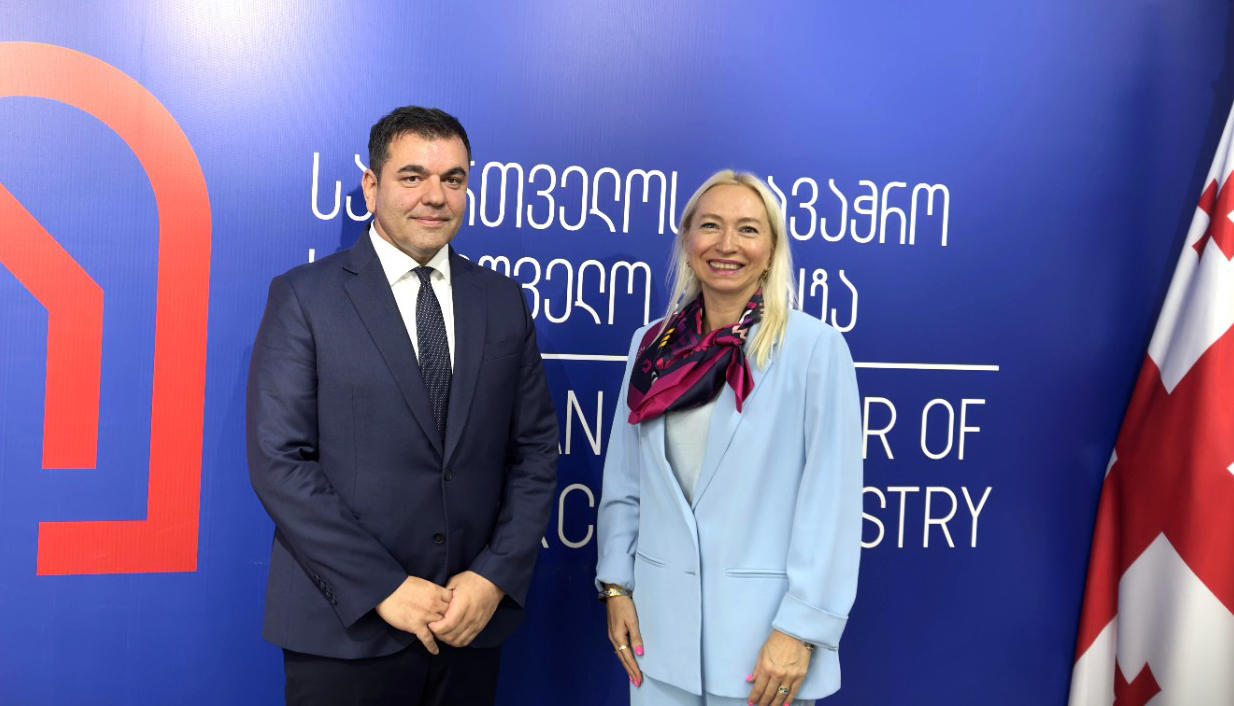 სავაჭრო პალატაში გერმანული წამყვანი საფინანსო ინსტიტუტის, KfW IPEX-Bank-ის წარმომადგენლებთან, სამუშაო შეხვედრა გაიმართა