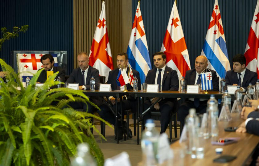 ცოტნე ანანიძემ პოლონეთის ქვემო სილეზიის სავოევოდოს დელეგაციას უმასპინძლა