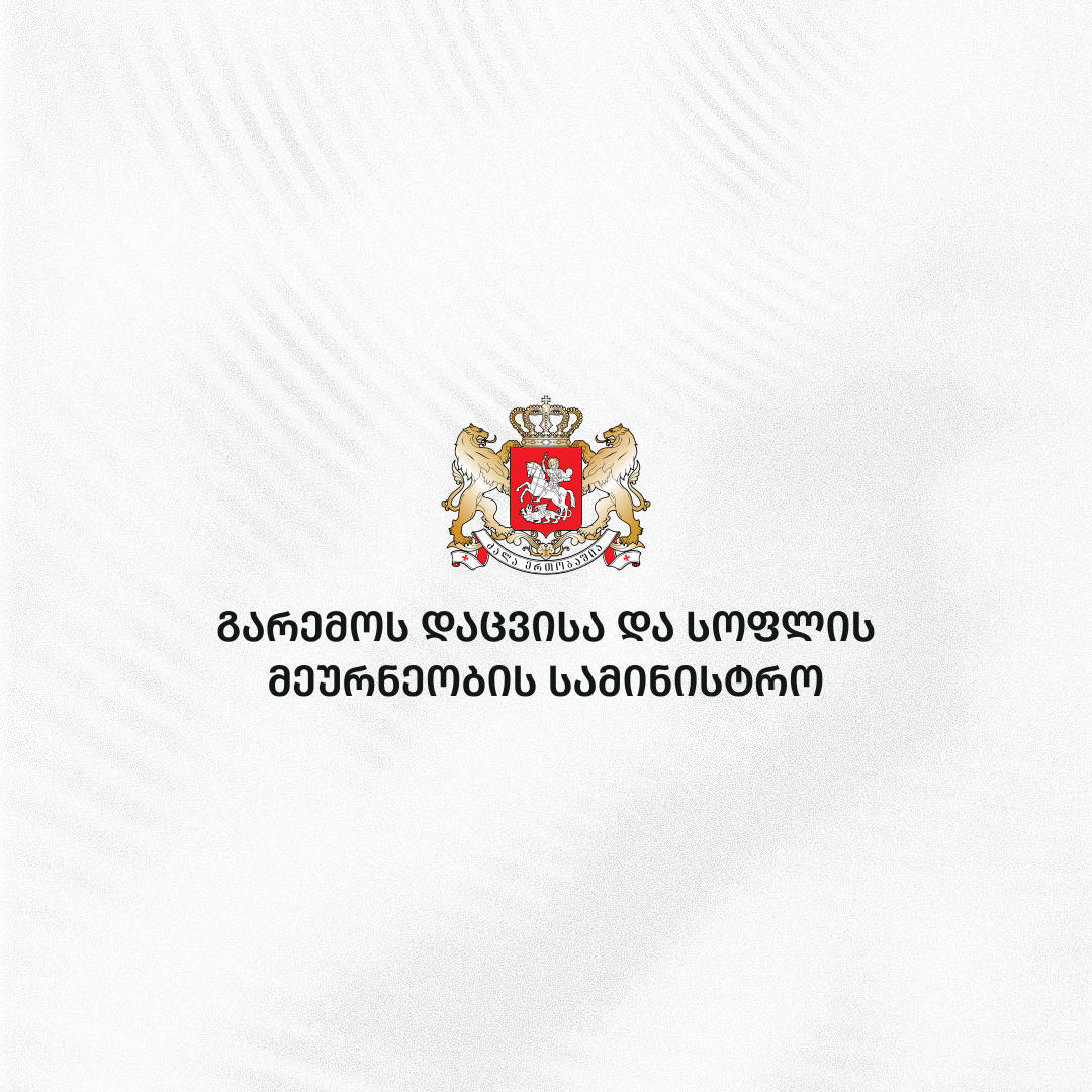 ინფორმაციული ტექნოლოგიების, გარემოსდაცვითი და აგრო სერვისების სააგენტოს ცოტნე ბუჩუკური უხელმძღვანელებს