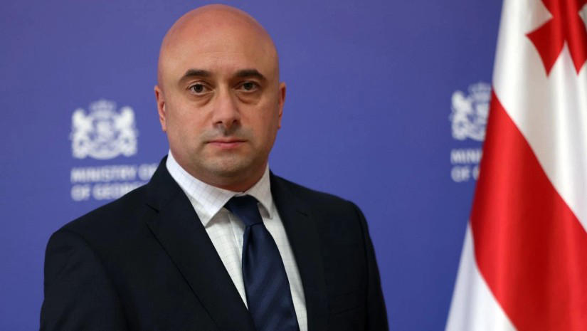 მიხეილ კიკნაძე, რომელიც კულტურის მინისტრის პოსტიდან თინათინ რუხაძის გადადგომის შემდეგ მინისტრის მოვალეობას ასრულებდა, კულტურის მინისტრის პირველ მოადგილედ დაინიშნა