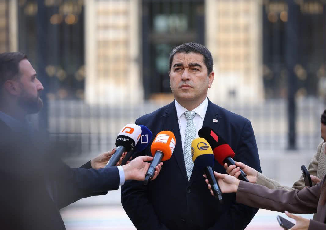 შალვა პაპუაშვილი ირაკლი ღარიბაშვილის საქმეზე - პოლიტიკურ ჭრილში გადაყვანას პერსპექტივა ქართულ მართლმსაჯულებაში არც აქამდე ჰქონდა და არც ახლა აქვს
