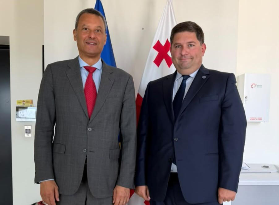 ადვოკატთა ასოციაციის თავმჯდომარე ევროპის საბჭოს ოფისის ახალ ხელმძღვანელს შეხვდა