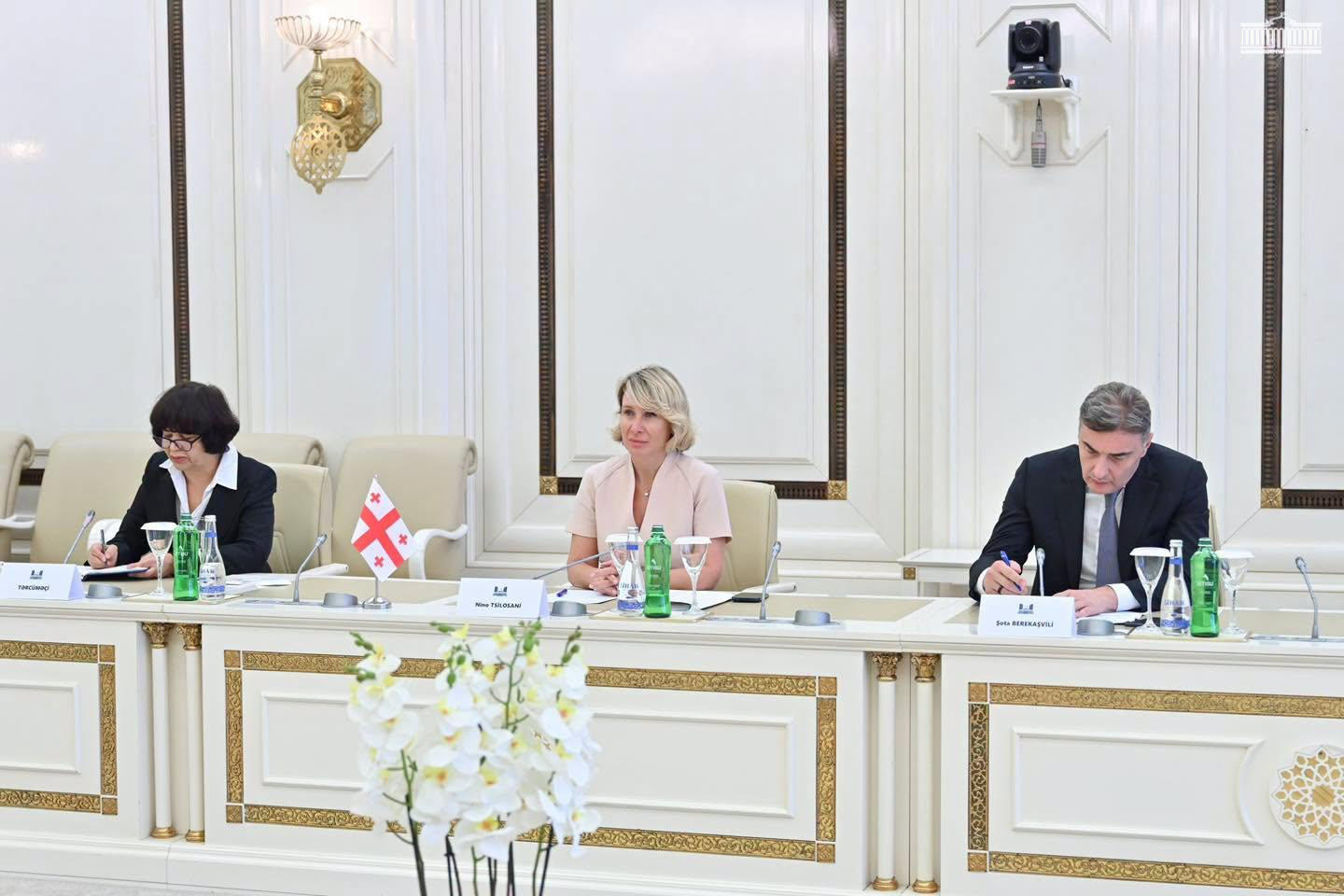 საქართველოს პარლამენტის დელეგაცია, ნინო წილოსანის ხელმძღვანელობით, აზერბაიჯანის მილი მეჯლისის თავმჯდომარეს შეხვდა